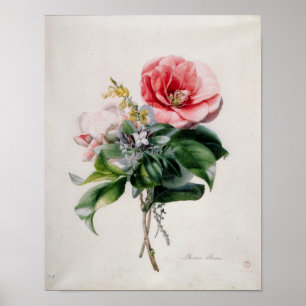 Póster wamellia e vassoura