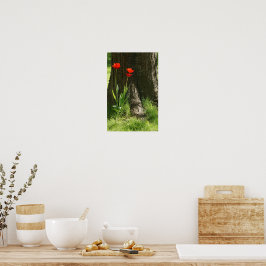 Poster Wanddruck mit roten Tulpen am Baumstamm