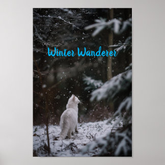 Poster Wander de inverno: Gato branco na neve