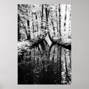 Poster Wapcn de contraste reflexiva