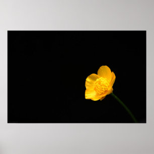 Poster Wapcn de Flor do Copo