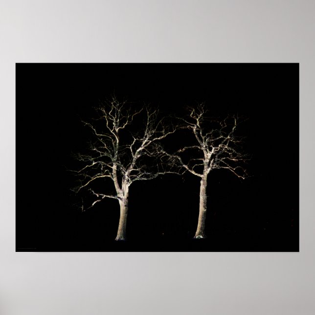 Poster Wapcn do lado escuro 9 (Frente)