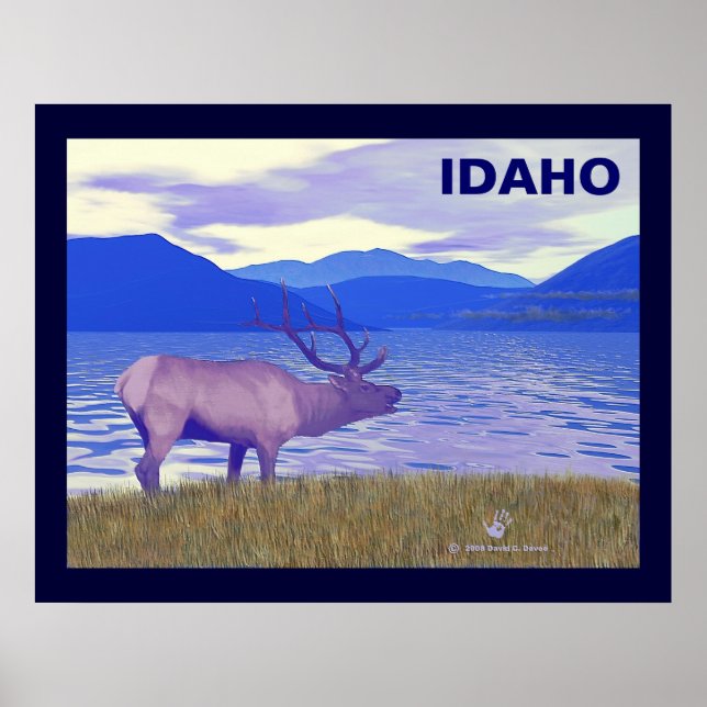 Poster Wapiti (Elk) Pelo Lago (Frente)