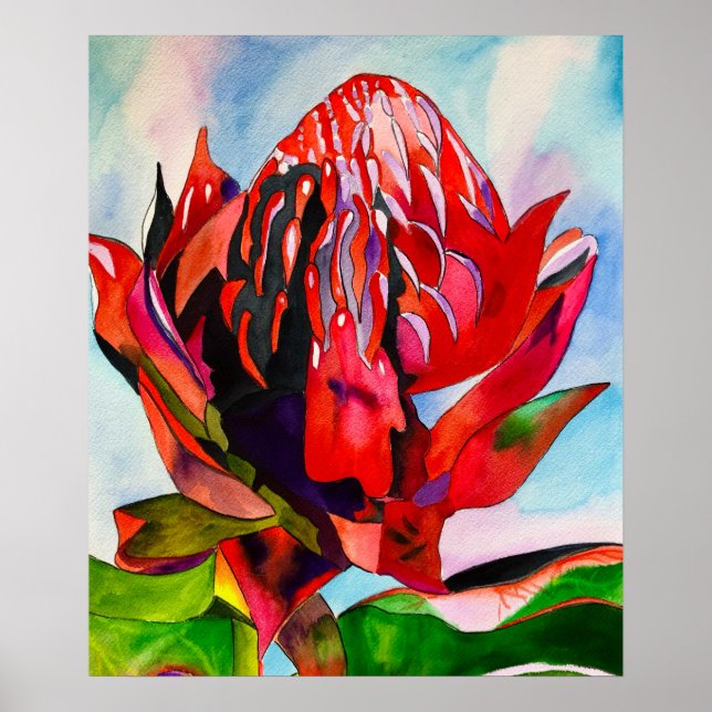 Poster Waratah, cor-de-água natural da Austrália (Frente)