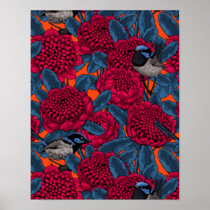 Poster Waratah Vermelho e forras-de-fada