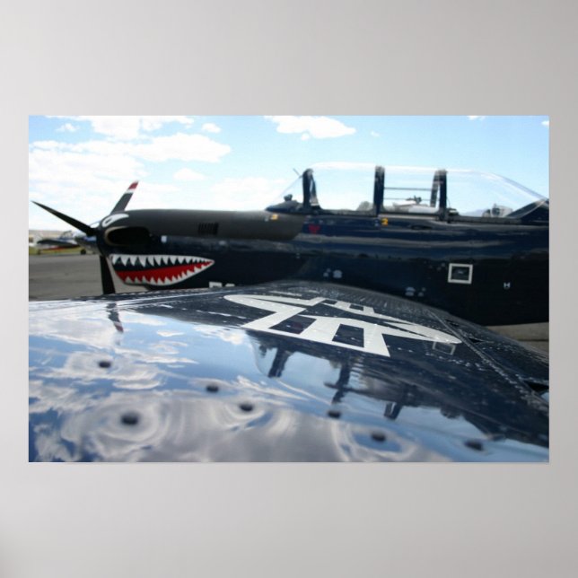 Póster Warbird (Frente)