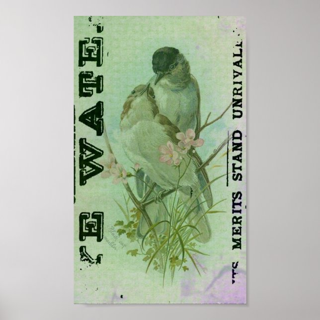 Póster Warbler Vintage (Frente)