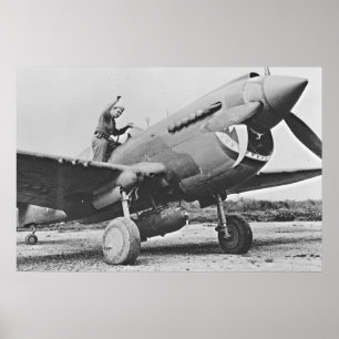 Póster Warhawk P40 1943