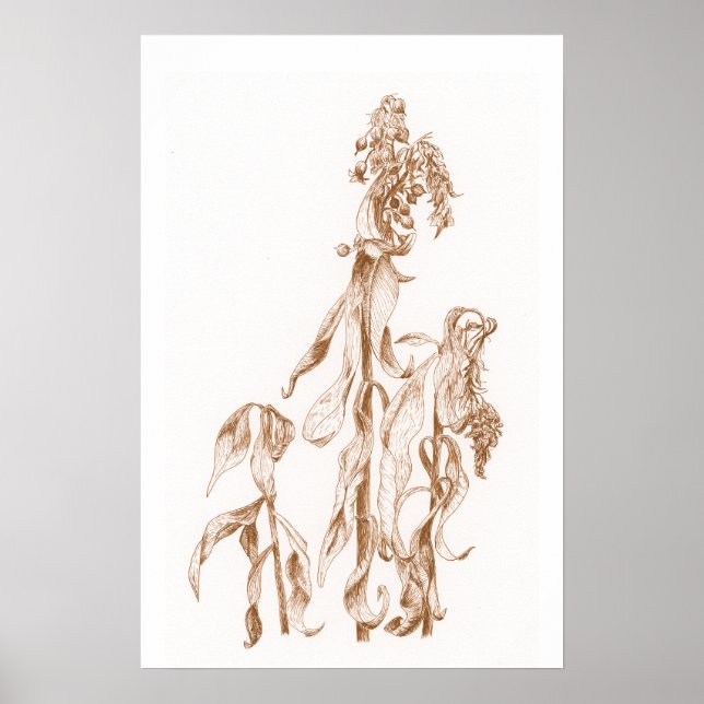 Poster Warm Seasonal Botanical Ink Art Elegant Wall  (Frente)