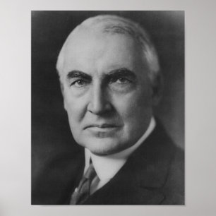 Póster Warren G. Harding 29º Presidente
