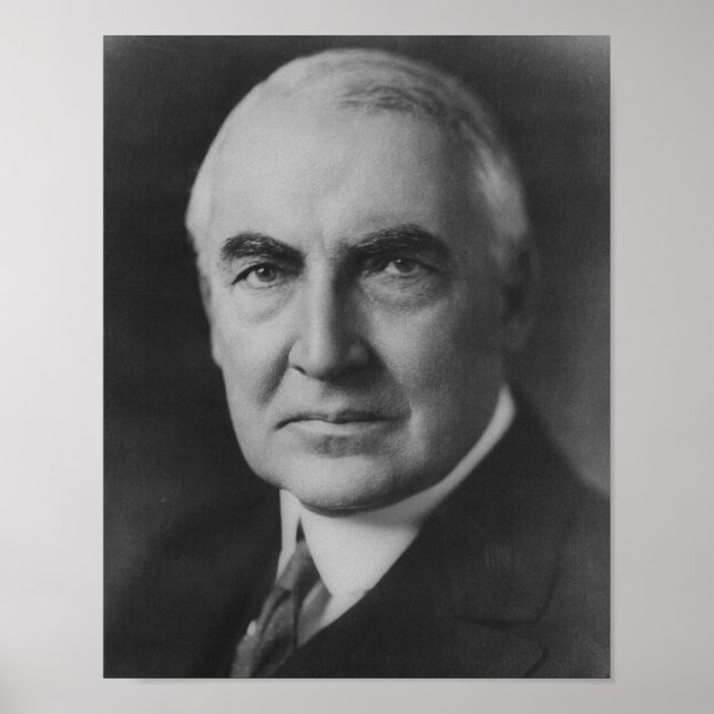 Póster Warren G. Harding 29 (Frente)