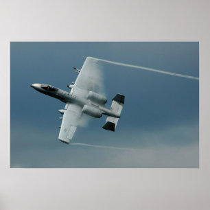 Póster Warthog