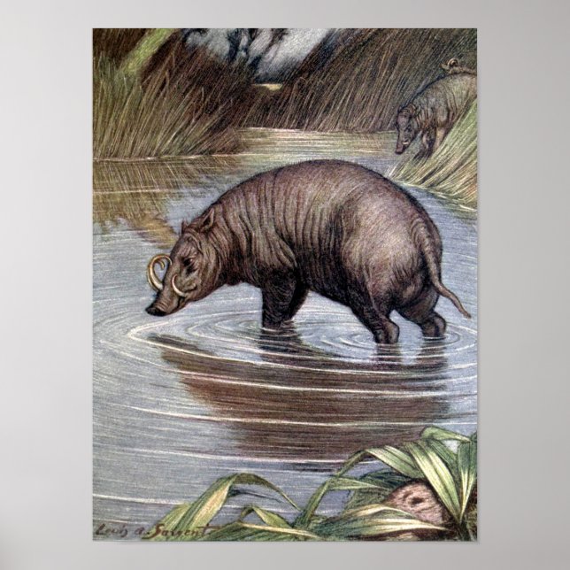 Poster Warthog de Louis Sargent, Vintage Selvagens (Frente)