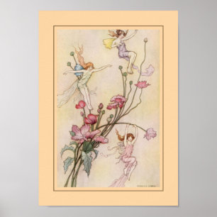 Póster Warwick Gobel