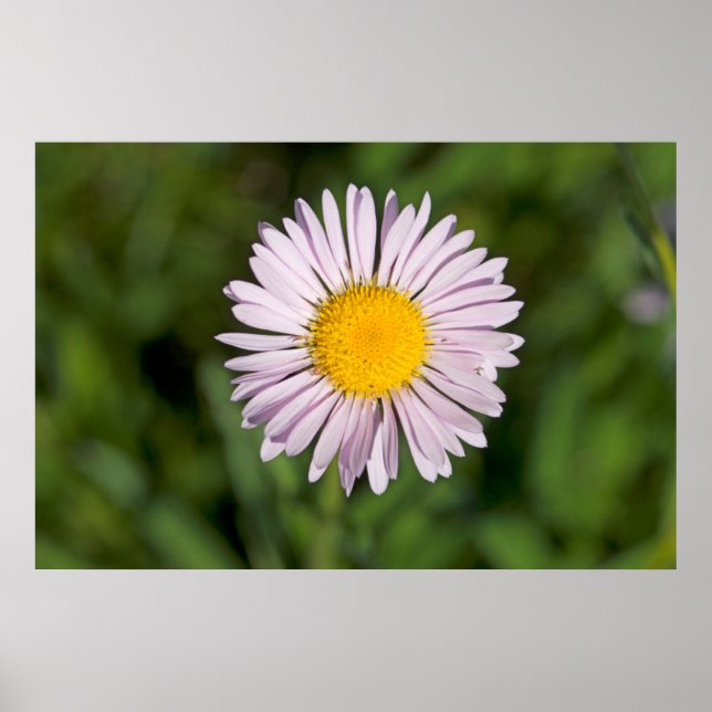 Póster Washington, Cascade Range, Monte Baker (Frente)