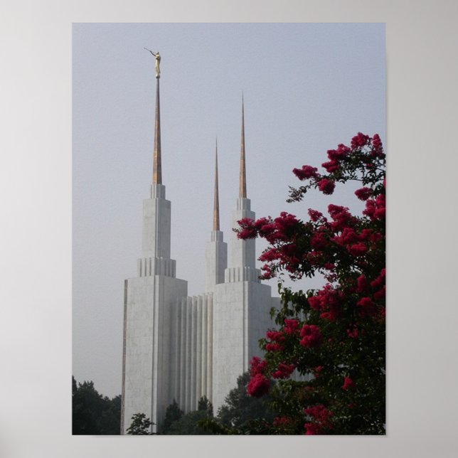 Póster Washington DC (Frente)