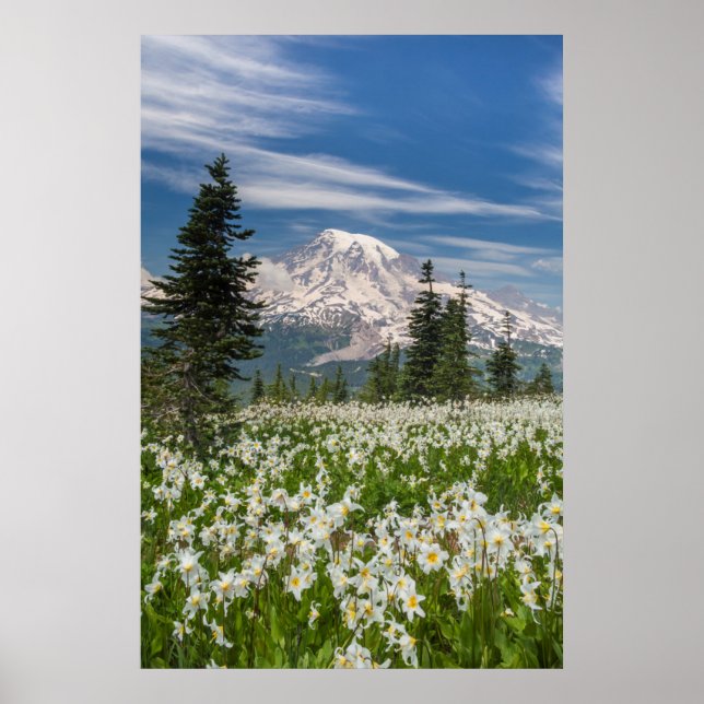 Poster Washington, Monte Rainier Parque Nacional 1 (Frente)