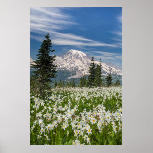 Póster Washington, Monte Rainier Parque Nacional 1