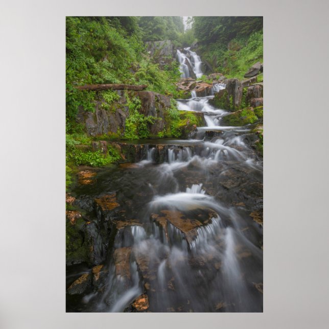 Poster Washington, Monte Rainier Parque Nacional 2 (Frente)