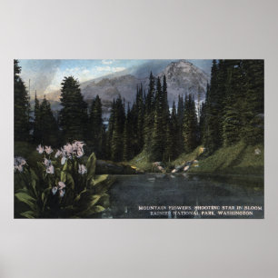 Poster Washington - parque nacional mais chuvoso, Sta de