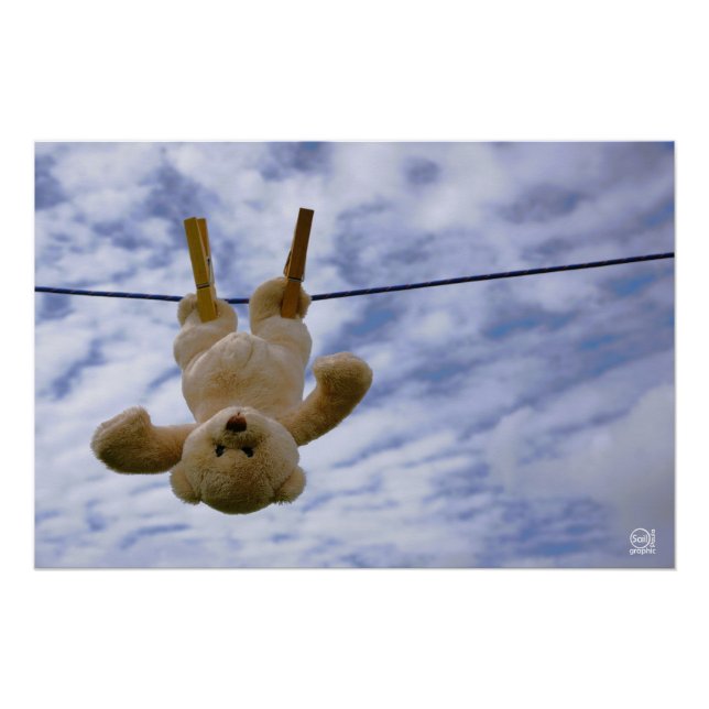 Póster Waslijn met Funny beer die hangt te drogen. (Frente)