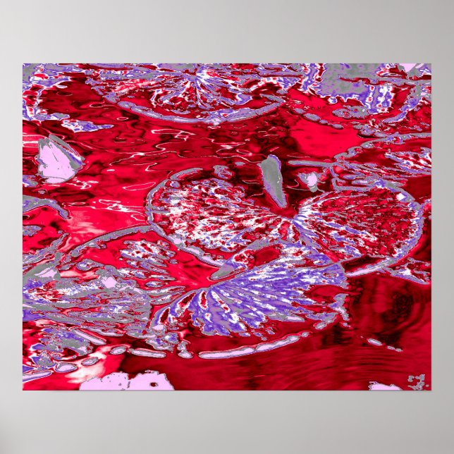 POSTER WATER LILY POND (Frente)