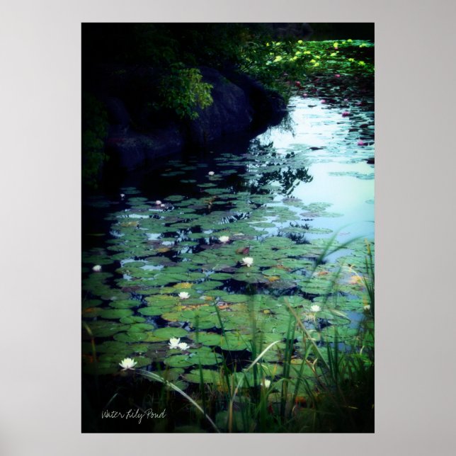 Poster Water Lily Pond ：Archive Heavy Weight Paper (Frente)