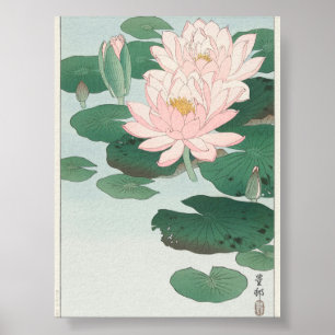 Poster Water Lily por Ohara Koson (1920-1930)