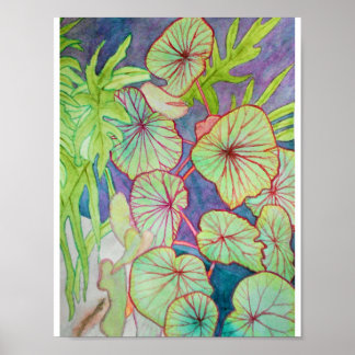 Póster Watercolor Begonia e Philodendron