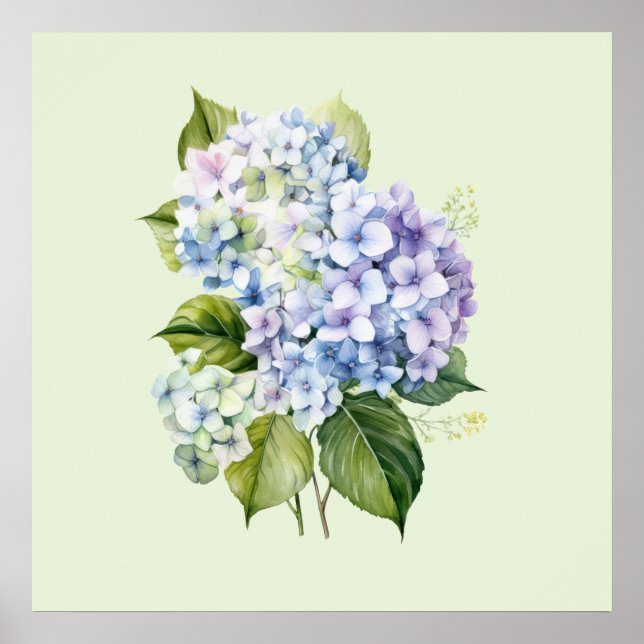 Poster Watercolor Botanical Floral Hydrangea (Frente)