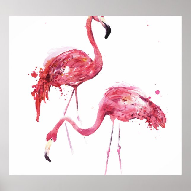 Poster Watercolor Flamingos, Elegante Design. (Frente)