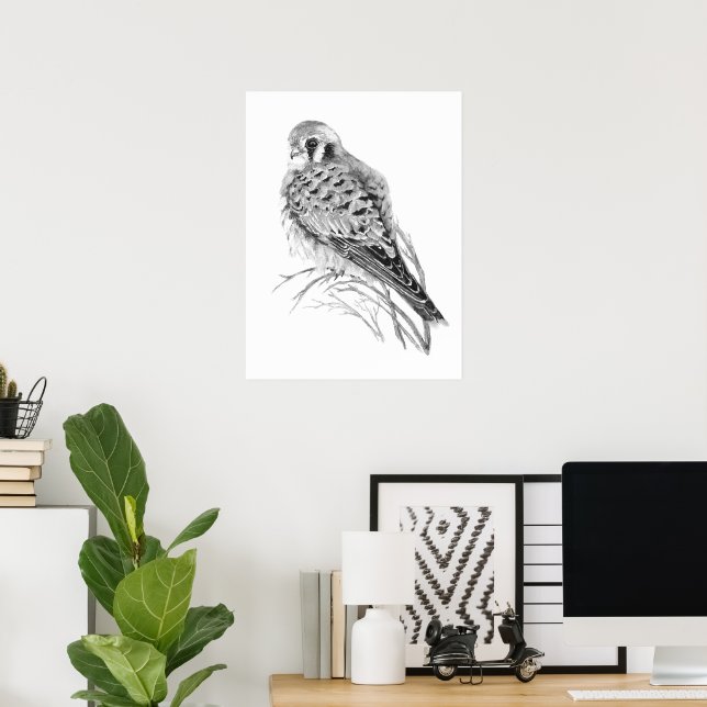 Poster Watercolor Kestrel Sparrow Hawk Falcon Bird (Escritório em casa)