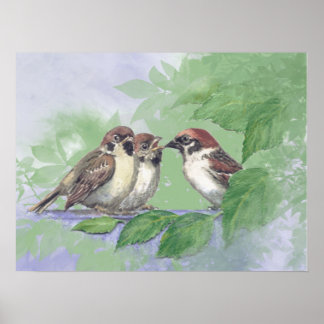 Poster Watercolor Mother Sparrow Feeding Chicks