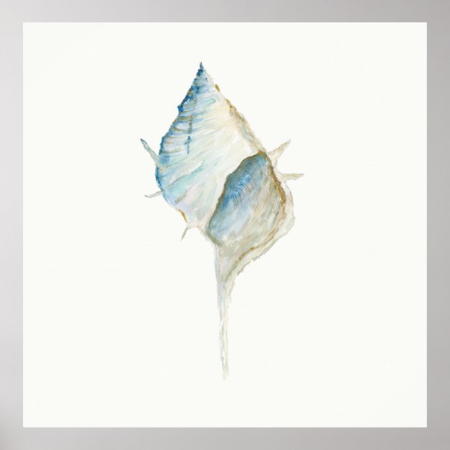 Poster Watercolor Seashell (Frente)