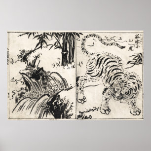Poster WATERFALL and TIGER - JAPONÊS - 1720