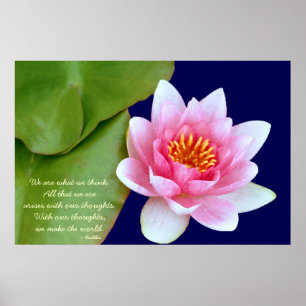 Poster Waterlily Rosa Com Citação Buda