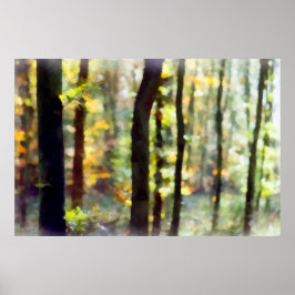 Póster Watery Woods