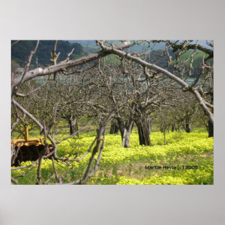 Poster Watsonville Orchard