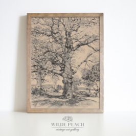 Poster Wayside Inn Oaks em carvalho-safra Primavera