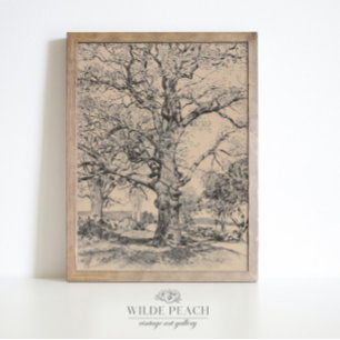 Poster Wayside Inn Oaks em carvalho-safra Primavera