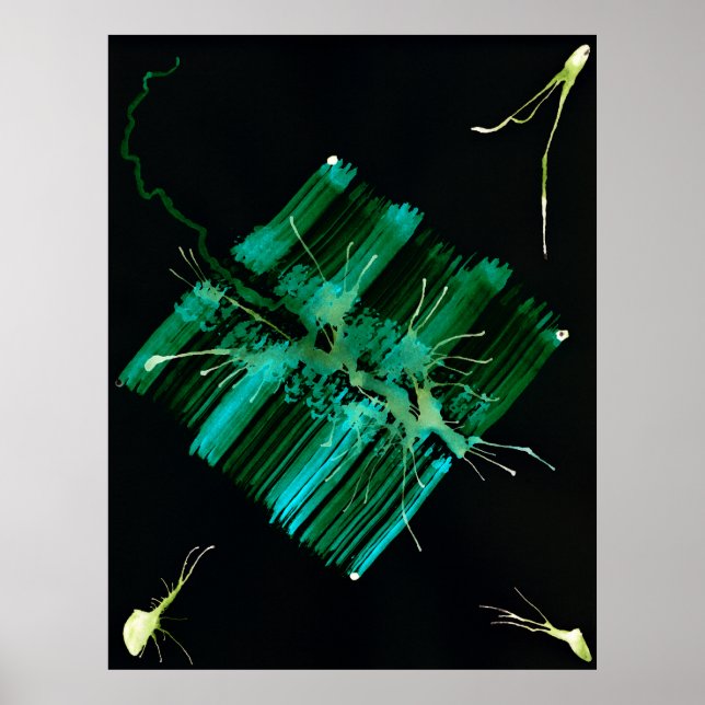 Póster WDV - 059 - Procurando (Frente)