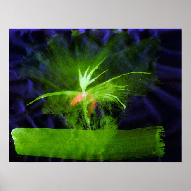 Póster WDV - 068 - Flor (Frente)