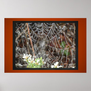 Póster Web de aranha