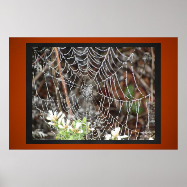 Póster Web Spider (Frente)
