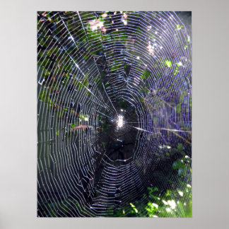 Poster Web Spider
