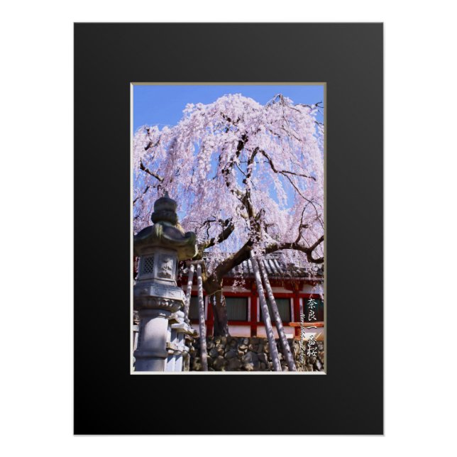 Póster Weeping cherry tree ("Nara Ichiban-Zakura") (Frente)