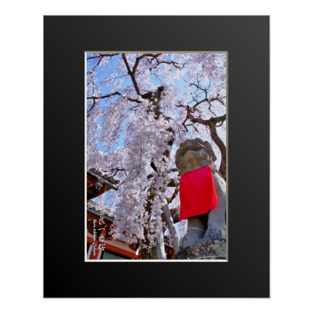 Póster Weeping cherry tree ("Nara Ichiban-Zakura") (Frente)