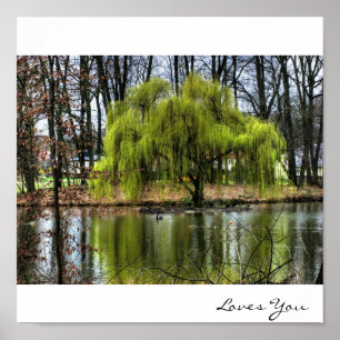 Póster Weeping Willow