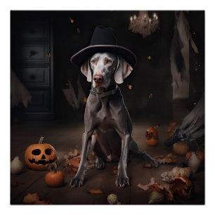 Póster Weimaraner Abóboras Halloween Assustador