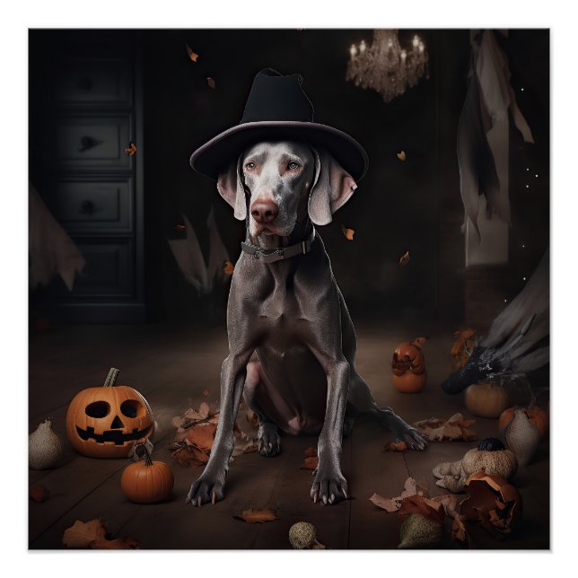 Póster Weimaraner Abóboras Halloween Assustador (Frente)